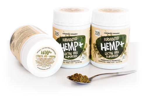 Fermented Hemp