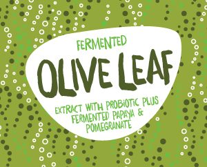 fermented olive leaf